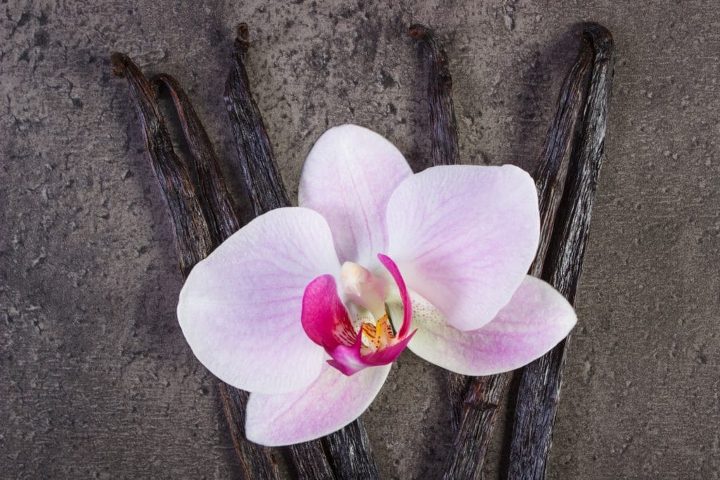 Wanilia Koktajl Formuła 1 Herbalife